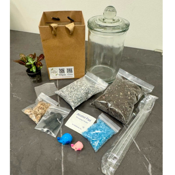 DIY Closed Terrarium kit / gardening set with options with/without plants or figurines (Normal / Couple / X'mas sets)