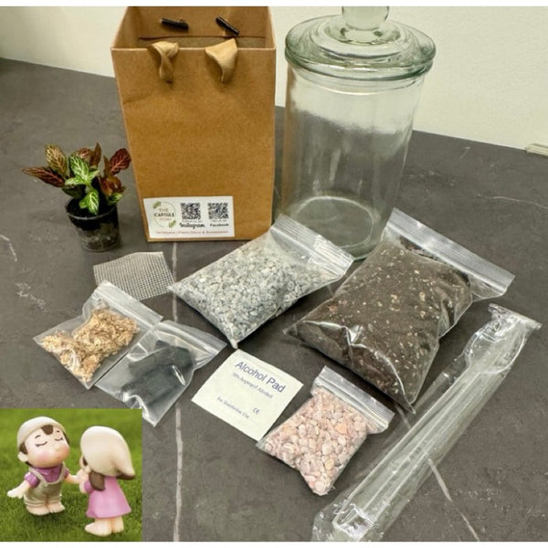 DIY Closed Terrarium kit / gardening set with options with/without plants or figurines (Normal / Couple / X'mas sets)