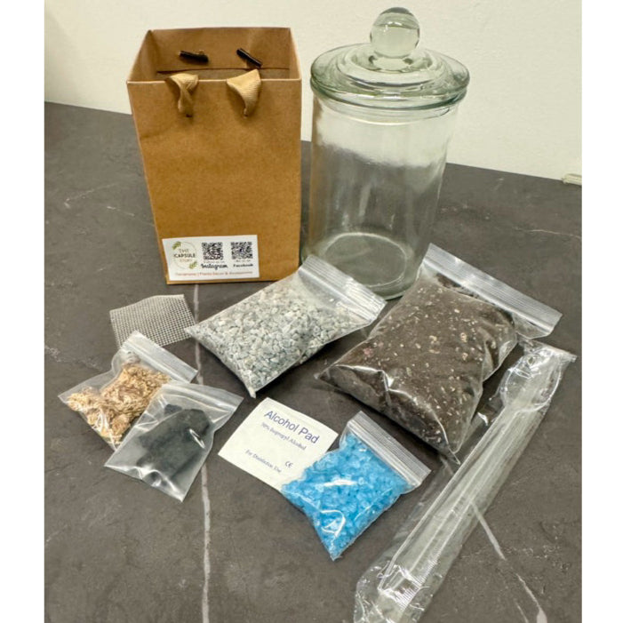 closed terrarium kit with plants DIY Closed Terrarium kit / gardening set with options with/without pla –  The Capsule Story