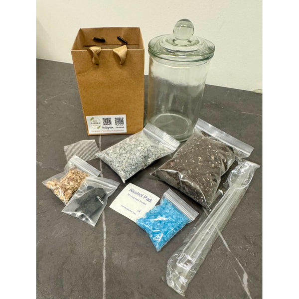 DIY Closed Terrarium kit / gardening set with options with/without plants or figurines (Normal / Couple / X'mas sets)