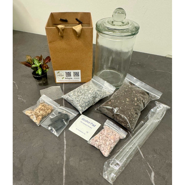 DIY Closed Terrarium kit / gardening set with options with/without plants or figurines (Normal / Couple / X'mas sets)