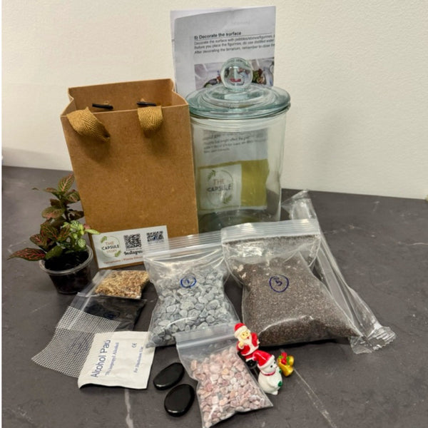 DIY Closed Terrarium kit / gardening set with options with/without plants or figurines (Normal / Couple / X'mas sets)