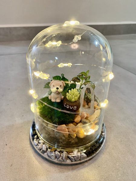 Glass Terrarium with Fairytale Lights