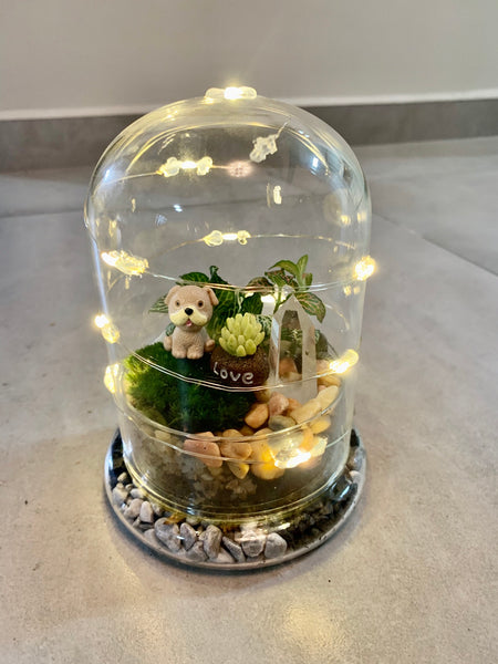 Glass Terrarium with Fairytale Lights