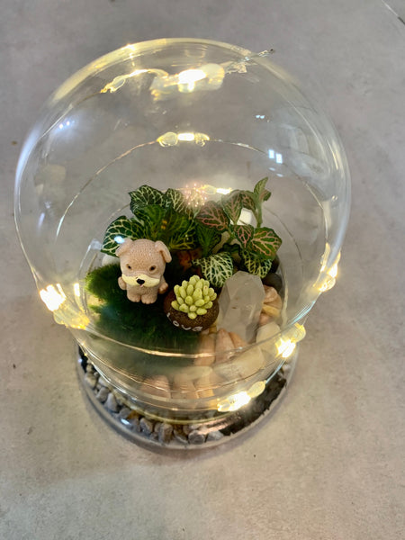 Glass Terrarium with Fairytale Lights