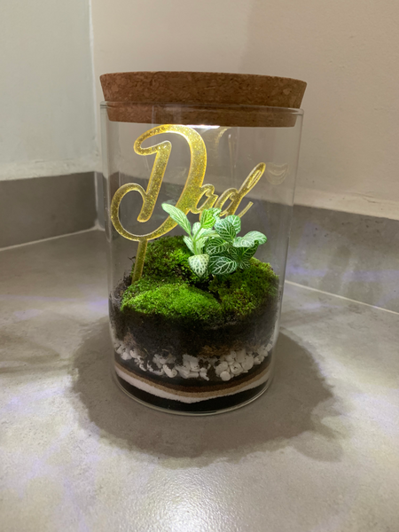Live Moss Sand Art Terrarium with light (Father’s Day)