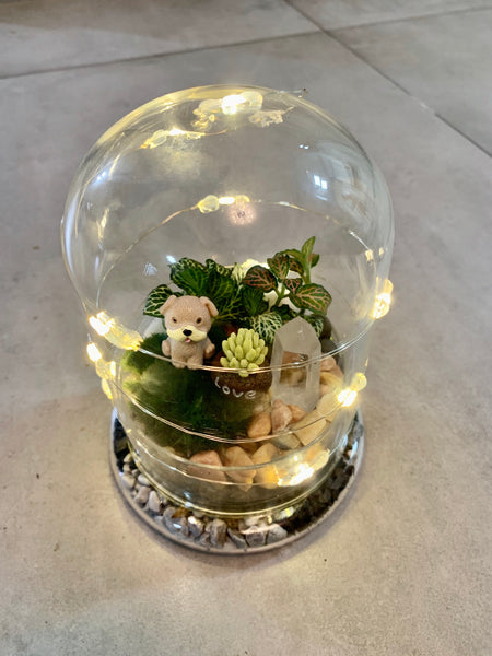 Glass Terrarium with Fairytale Lights