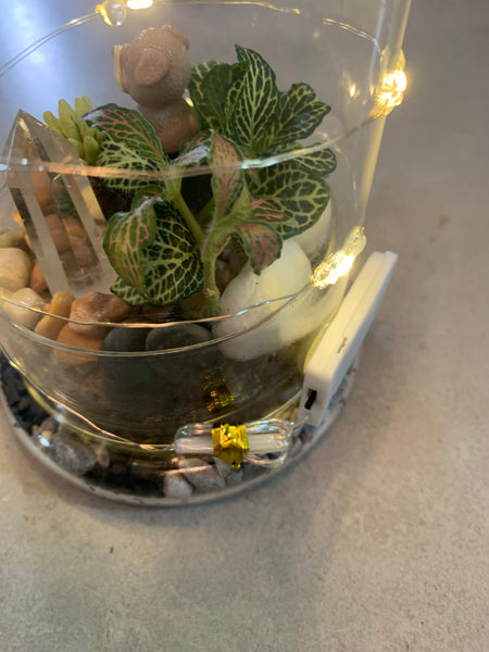 Glass Terrarium with Fairytale Lights