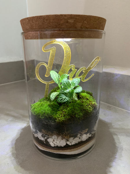Live Moss Sand Art Terrarium with light (Father’s Day)