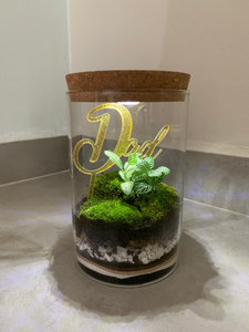 Live Moss Sand Art Terrarium with light (Father’s Day)