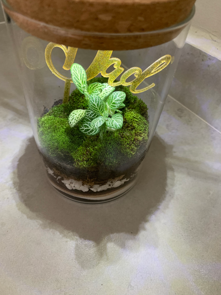 Live Moss Sand Art Terrarium with light (Father’s Day)